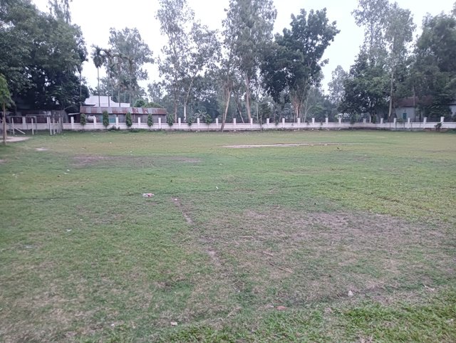 IMG20250519182536.jpg