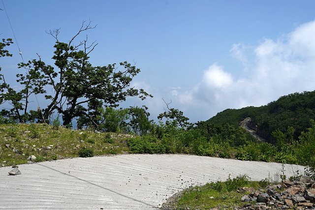 b-DSC07469.JPG