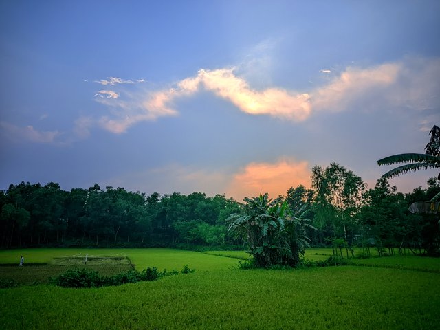 IMG_20250430_072742.jpg