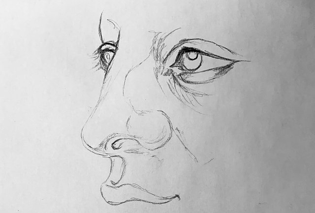IMG_1359.jpeg