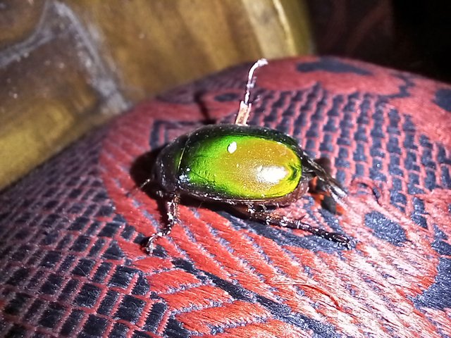 20230829_191105.jpg