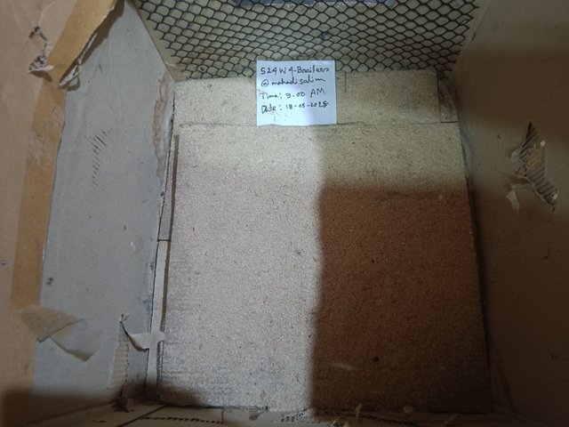IMG20250518120525.jpg