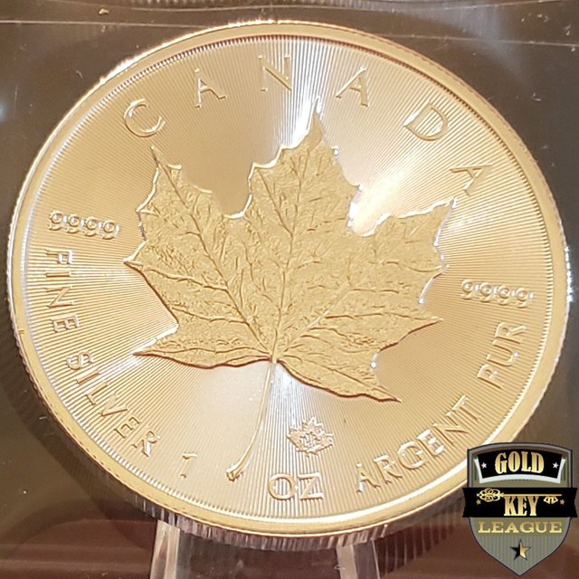 GK_PC_US_2021_BU_Maple_SILVERCOIN_APX_VER01_01.jpg