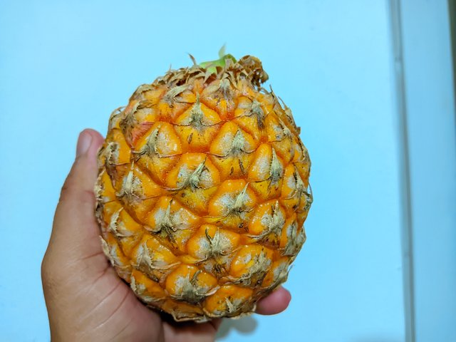 1000029466.jpg