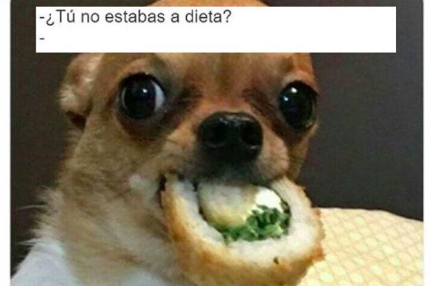 28-memes-de-perros-que-te-haran-derramar-lagrimas-2-11319-1488570018-17_dblbig.jpg