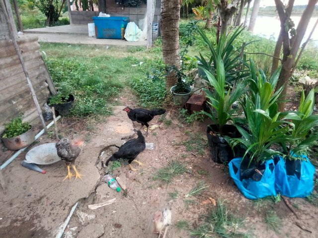 IMG20250618182118.jpg
