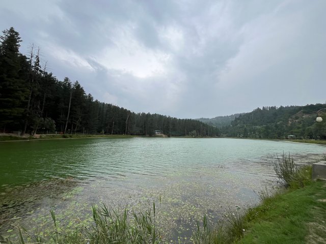 IMG_4056.jpeg