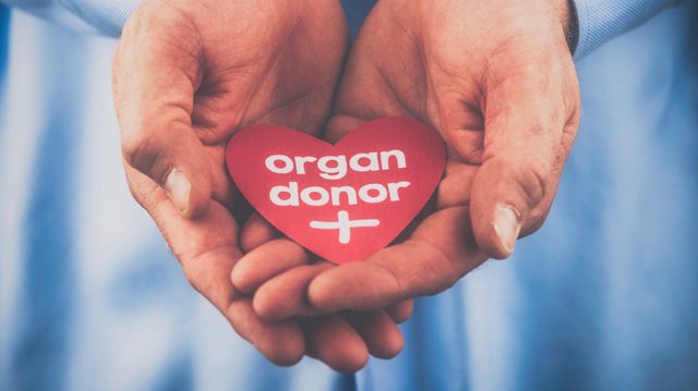 organ-donation-banner.jpeg