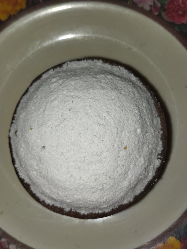 1000020261.jpg