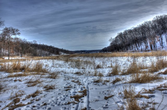 wisconsin-ice-age-trail-winter-tundra.jpg