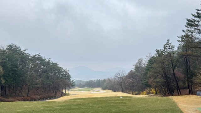 IMG_0487.jpeg