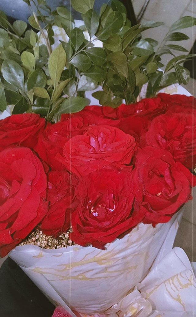 1000032222.jpg