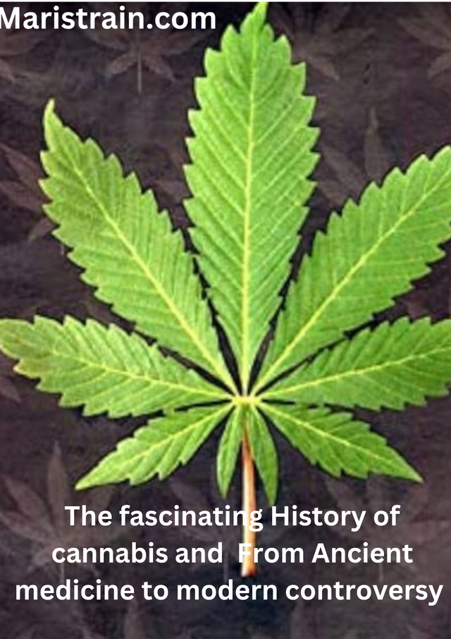 The fascinating History of cannabis and From Ancient medicine to modern con_20241015_114842_0000.png