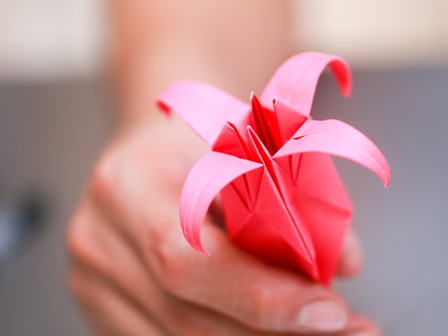 Fold-an-Origami-Lily-Step-18-Version-2.jpg