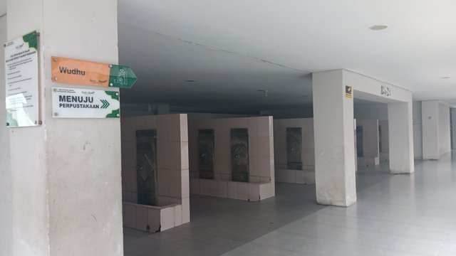 20250616_115811.jpg