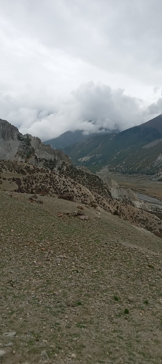 20250504_090240.jpg