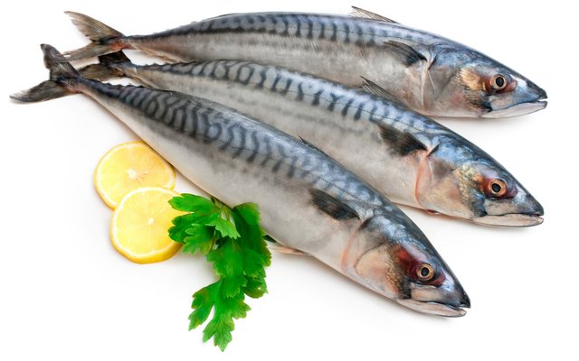 mackerel_three_fish_lemon_parsley_white_background_78364_3840x2400.jpg