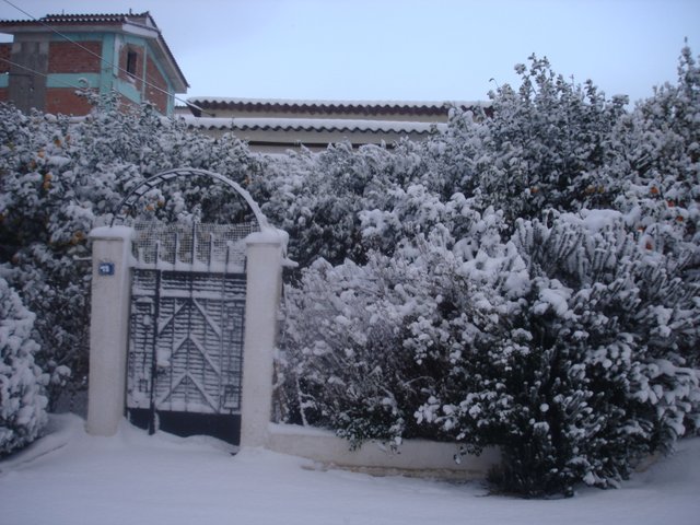 DSC05865.JPG