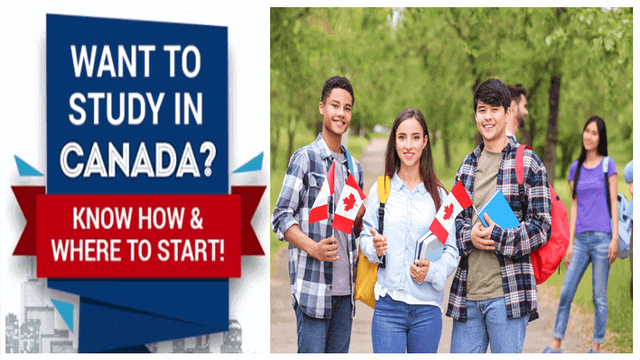 What I Need  For International Student Program (Study in Canada).PNG