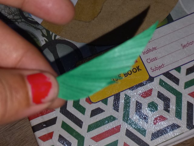 20250902_213132.jpg