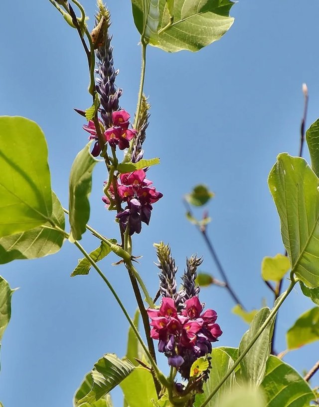 IMG_20250907_205348.jpg