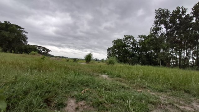 20240526_175602.jpg