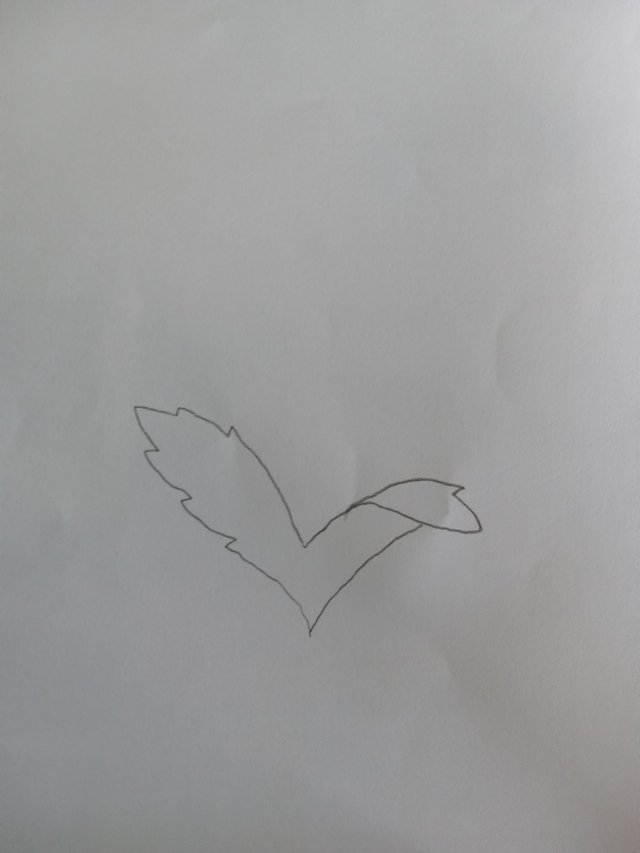 20240726_154727.jpg