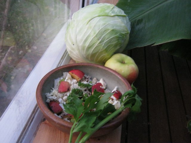 cabbage apple salad.jpg