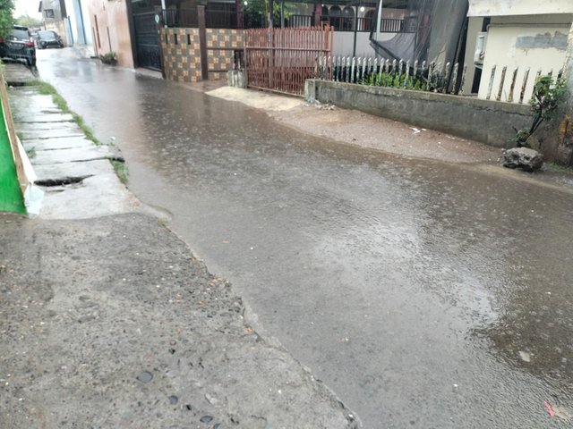 IMG20250314080503.jpeg