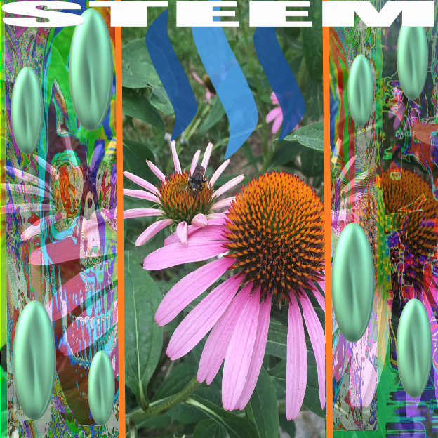 81 STEEM 456.png