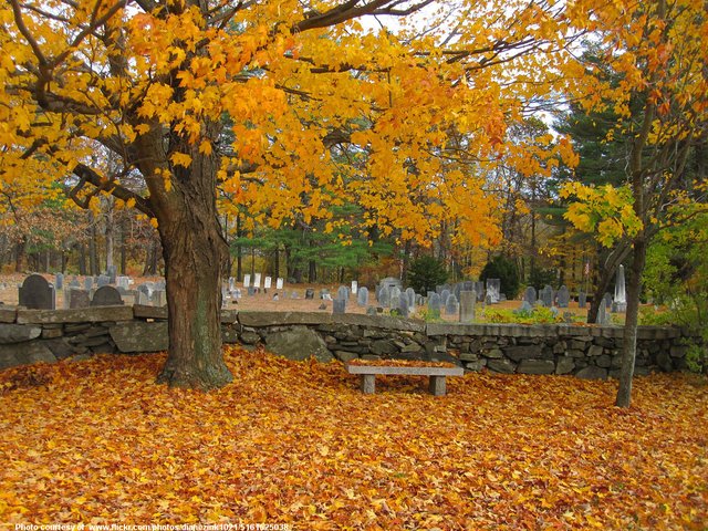 BrightYellowAutumnAtTheCemetery-001-102118.jpg