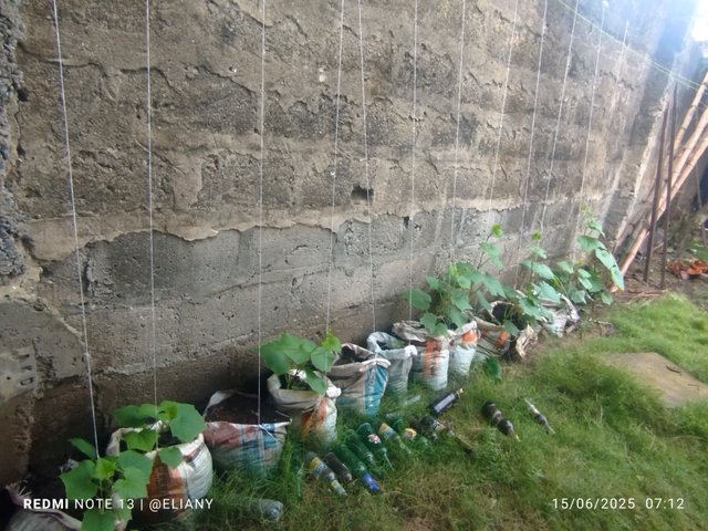 1000476222.jpg