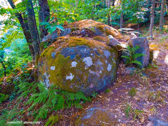 DSCN8192_edited.jpg