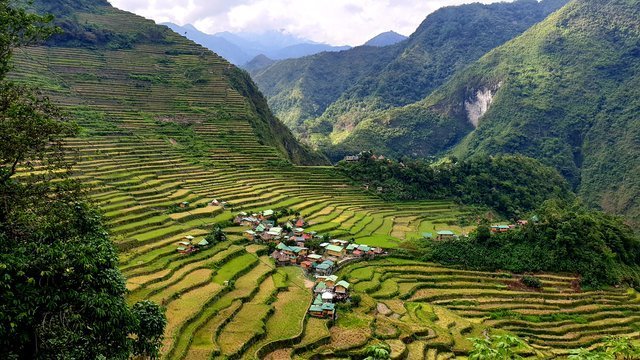 macoolette_20200110T154021697Z-Batad rice terraces.jpg