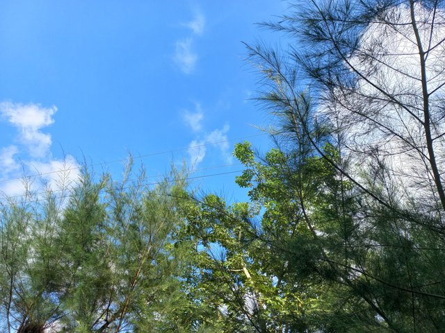 20231001_154346.jpg