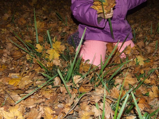 DSCF5512.JPG