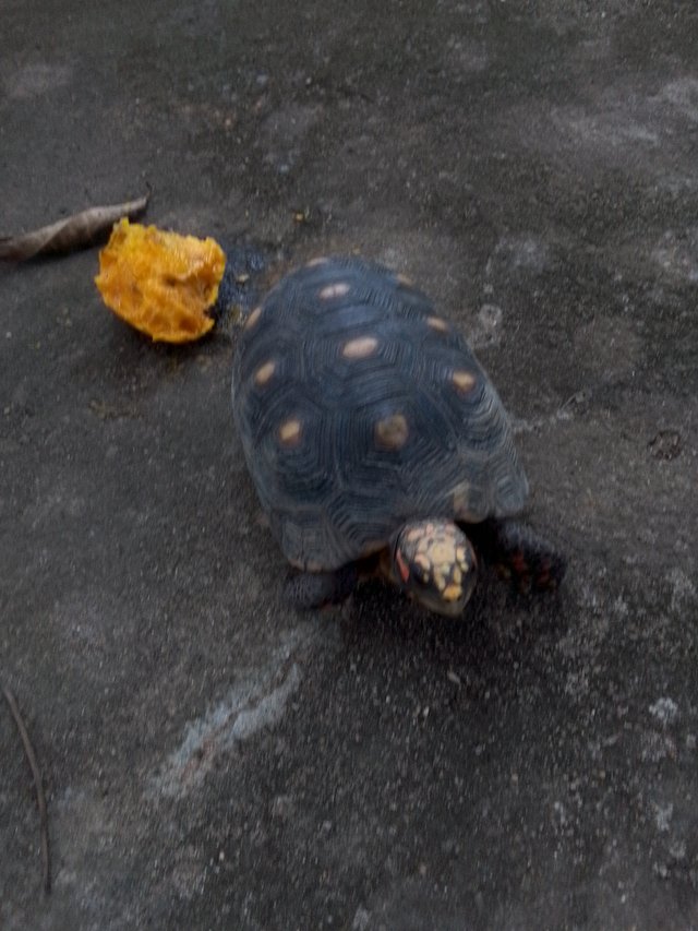 .trashed-1754603293-IMG_20250708_173625_663.jpg