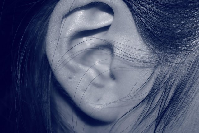 ear-207405_1280.jpg