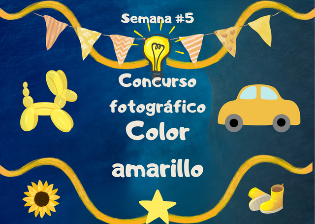 concurso fotográfico #5.png