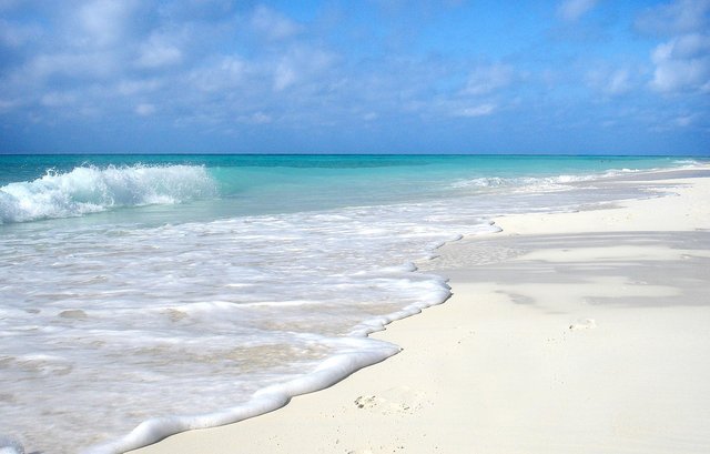 beach-652119_1280.jpg