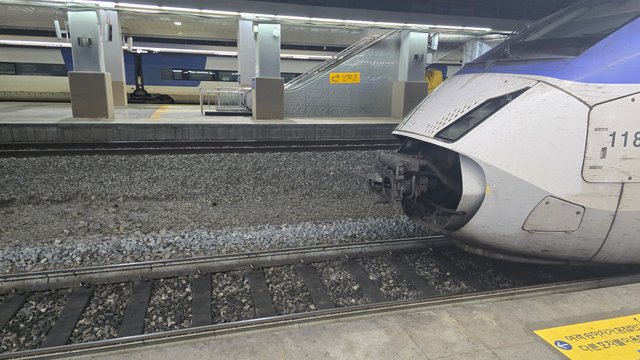1000138217.jpg