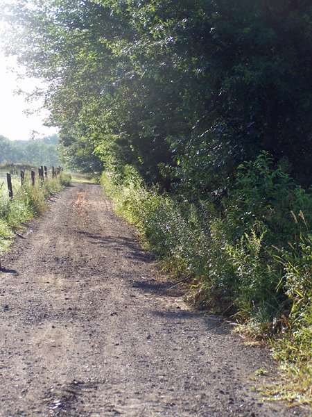 Driveway crop August 2019.jpg