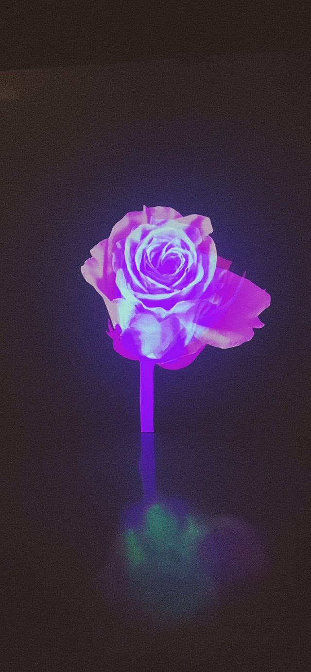 KakaoTalk_20250606_231723290_01.jpg