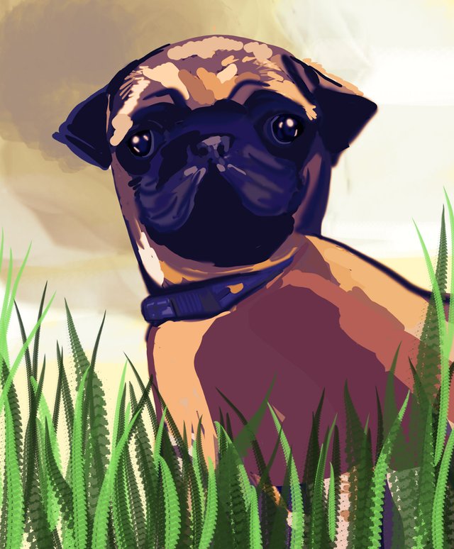 puggyy60.jpg