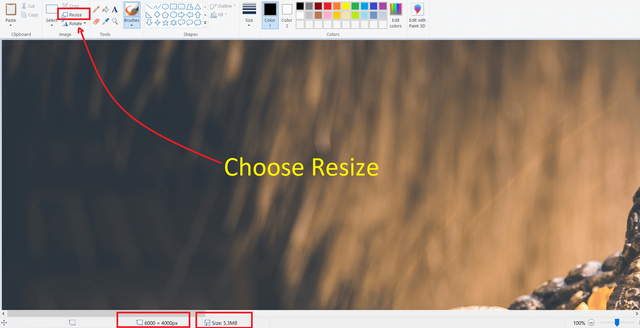 09. Choose Resize.png