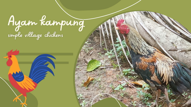 Hijau Ilustrasi Berpetualang ke Pulau Komodo YouTube Thumbnail_20250523_173815_0000.png