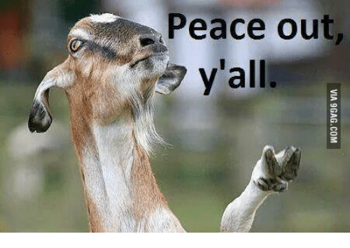 peace-out-yall-via-9gag-com-el-ca-14691836.png