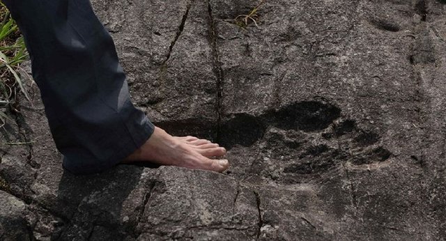 Giant-footprint-discovered-in-China.jpg