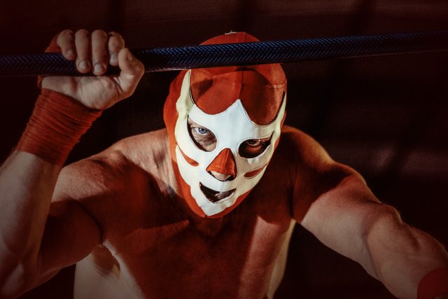 wrestler-5639462_1920.jpg
