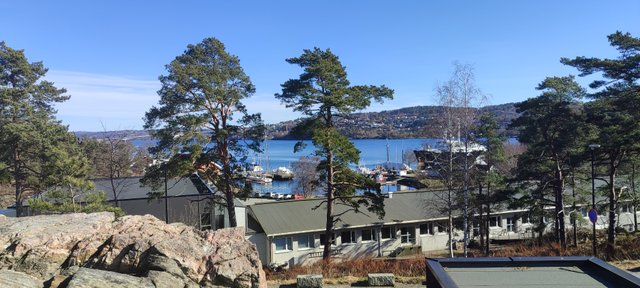 IMG_20250318_111838.jpg